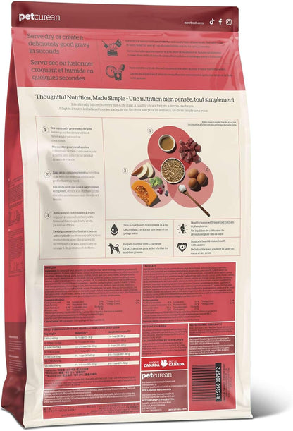 Now Fresh Good Gravy Premium Dry Dog Food with Grass-Fed Beef & Ancient Grains, Healthy Kibble for Adults Coated in Bone Broth – Just Add Water to Moisten, Made with Real Red Meat, 3.5 lb Bag