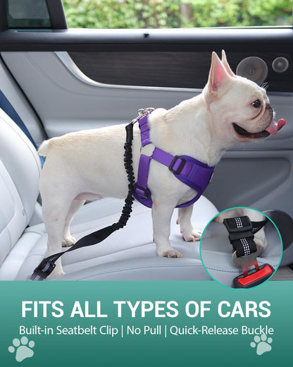 Dog Seat Belt Harness for Car,Padded Dog Car Safety Vest Harness,2 in 1 Seatbelt Tether with Elastic Bungee Journey Harnesses for Small Medium Large Pets (Purple X-Large)