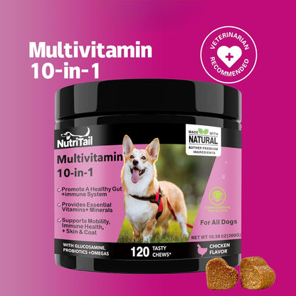 NutriTrail Multivitamin for Dogs – 10-in-1 Soft Chews with Glucosamine, Probiotics, Omega-3, Vitamins & Minerals – Supports Hip & Joint, Digestion, Skin & Coat, and Immune Health – Chicken, 120 Ct