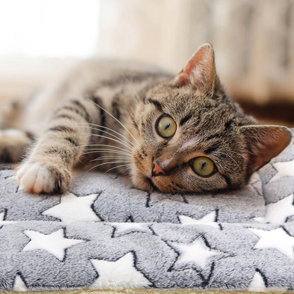 2 Pack Cat Blanket for Indoor Cats Ultra Soft and Warm Calming Cat Bed Fleece Pet Mat for Anxiety and Stress Washable Kitten Blanket