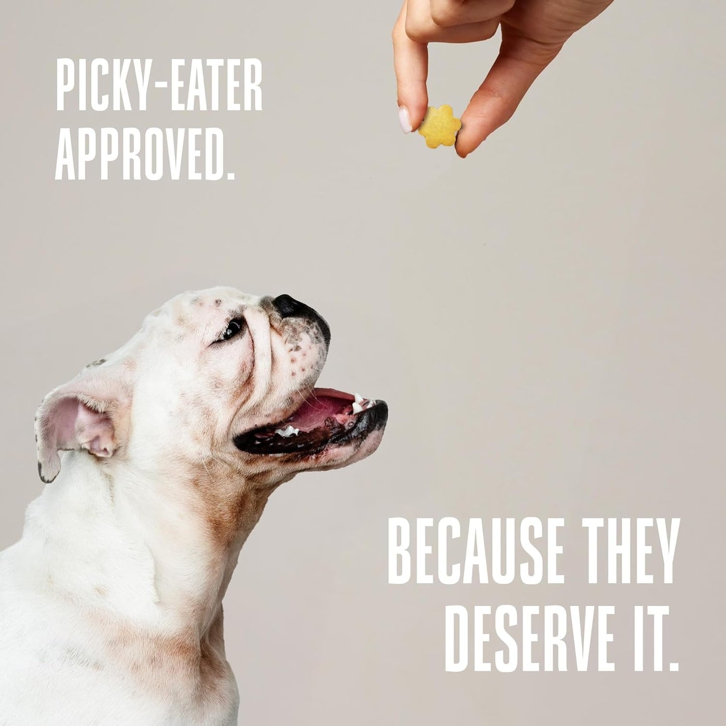 Whole Life Dog Living Treats for Dogs – Human Grade Probiotics for Digestive & Gut Health, Canine Gas, Diarrhea, Vomit & Constipation Relief - Pumpkin, 3 oz (Pack of 1)