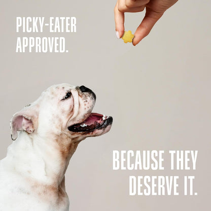 Whole Life Dog Living Treats for Dogs – Human Grade Probiotics for Digestive & Gut Health, Canine Gas, Diarrhea, Vomit & Constipation Relief - Pumpkin, 3 oz (Pack of 1)