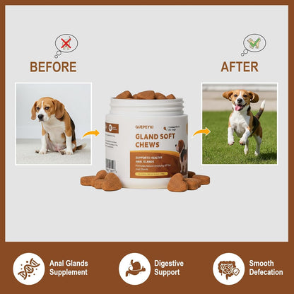 Anal Gland and Multivitamin