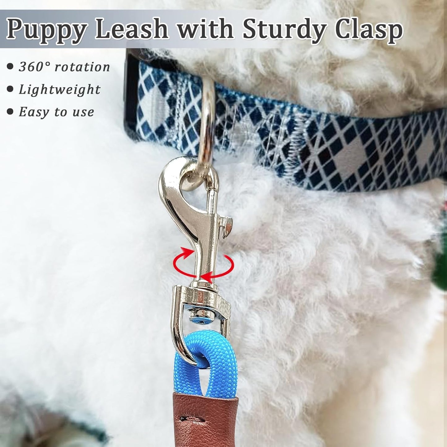 WYuZe 5FT Puppy Leash + Chew Proof Dog Leash with Shock Absorption for Small Dogs, Blue