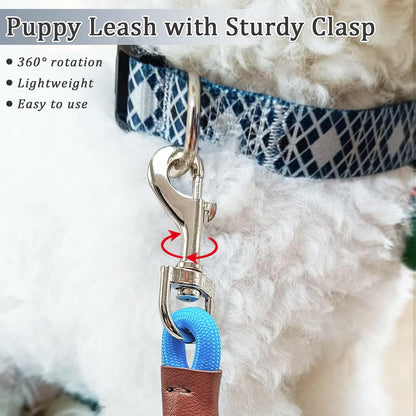 WYuZe 5FT Puppy Leash + Chew Proof Dog Leash with Shock Absorption for Small Dogs, Blue