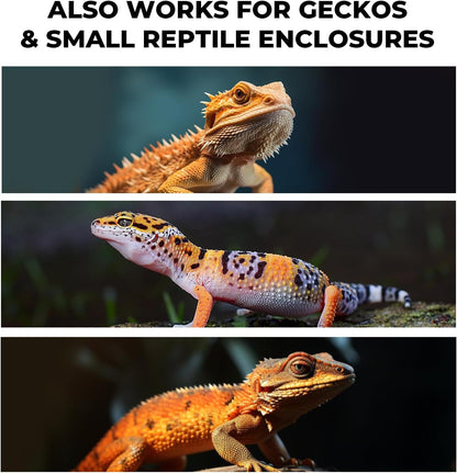 Bearded Dragon Tank Cleaning Kit, Reptile Enclosure Cleaning Tool Set with Mini Dustpan, Brush, Scraper & Cleaning Cloth for Lizard & Gecko Terrarium Maintenance