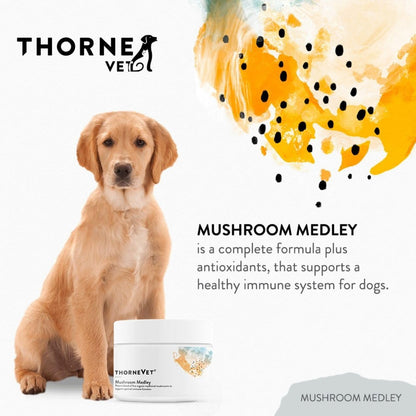 ThorneVet Mushroom Medley for Dogs - Immune System Support Plus Antioxidants - with Reishi, Turkey Tail, Cordyceps, Maitake, and Chaga Mushrooms - Support for Dogs Having Cancer Treatment - 120 Scoops