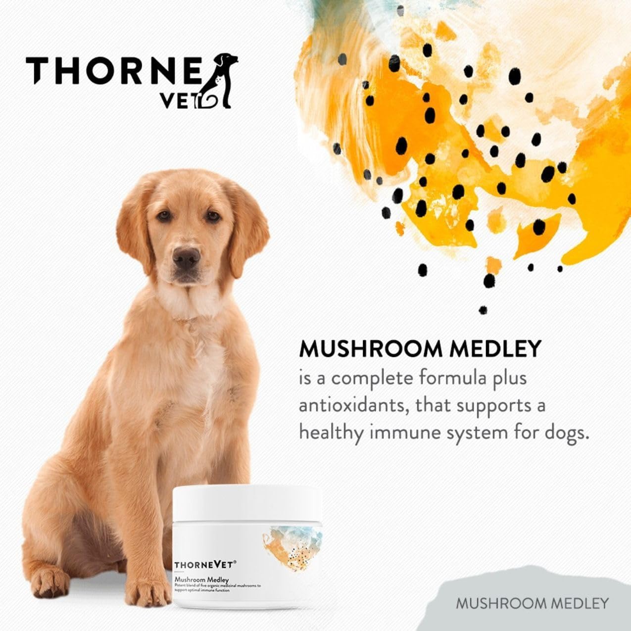 ThorneVet Mushroom Medley for Dogs - Immune System Support Plus Antioxidants - with Reishi, Turkey Tail, Cordyceps, Maitake, and Chaga Mushrooms - Support for Dogs Having Cancer Treatment - 120 Scoops