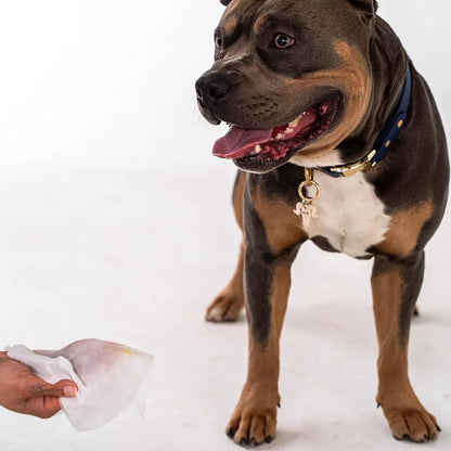 Dexypaws: Pet Wipes - Lavender & Vitamin E - 200ct Canister Cleansing Wet Wipes, Cats & Dogs Grooming Care, Paws-Face-Ears-Nose, Moist-Gentle-Portable