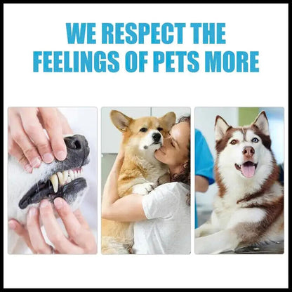 MIELIKKI Pets Dental Toothpaste, Toothpaste for Cats & Dogs, Cleans Teeth, Fights Bad Breath, Promotes Strong Teeth, 100g, Orange Flavor