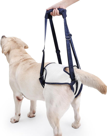 Easy Pet Life Dog Sling for Back Legs, Adjustable Pet Mobility Aid，Pet Rear Leg Support Brace,Hip Support Harness to Help Lift Dogs Rear for Helps Senior and After ACL Surgery (Blue, XL)