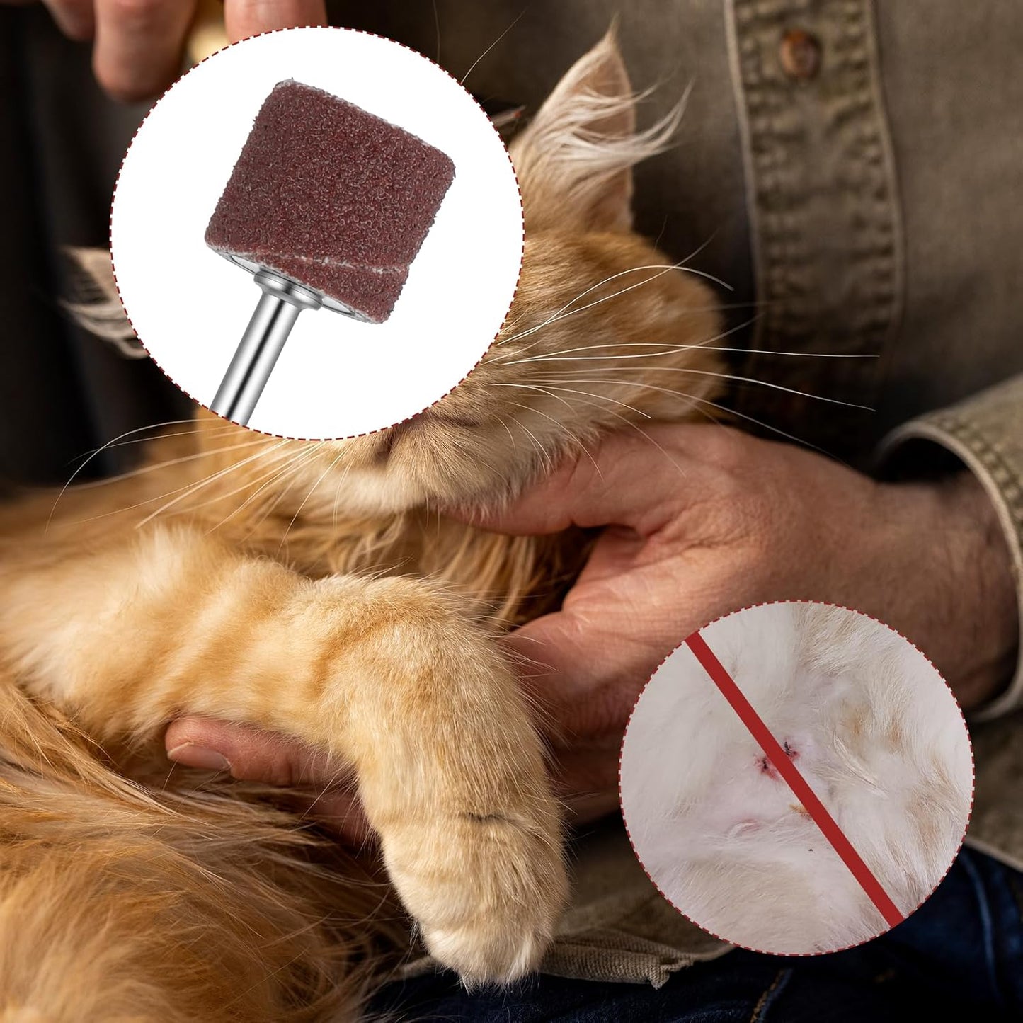 62Pcs Pet Nail Grinder Replacement Kit with Grit Sanding Bands, Dog Grinding Drums Nail Smoother Sanding Drum Set for Dogs Claw Care Grooming Supplies (80#/120#)