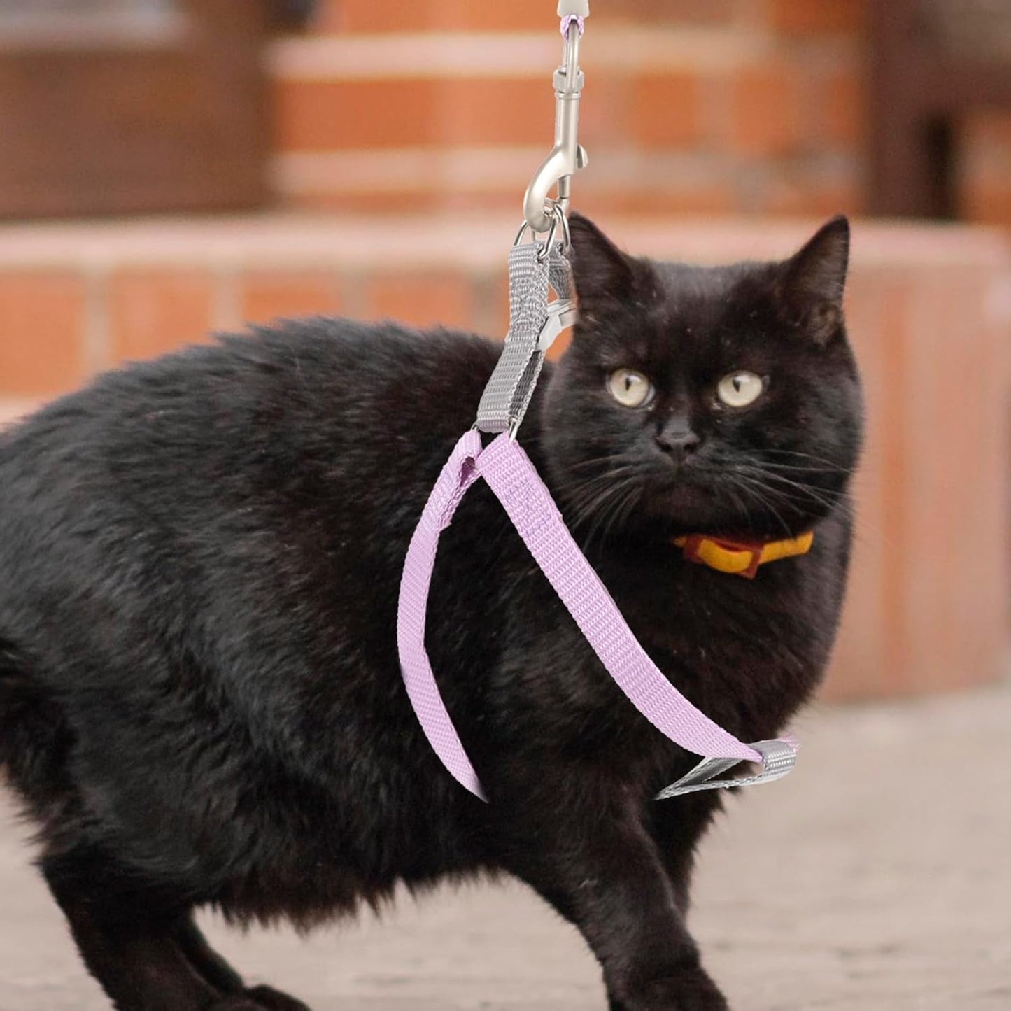 Escape Proof Small Cat Harness and Leash Set, Adjustable Soft Nylon Kitten Vest for Outdoor Walking and Training