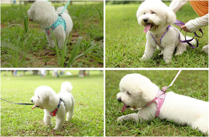 Hipubby Dog Harness Small Sized and Leash Set, No Pull Soft Mesh Puppy Vest, Reflective Breathable Lightweight Pet Harness, Harness for Small Medium Dogs and Cats, Pink XS