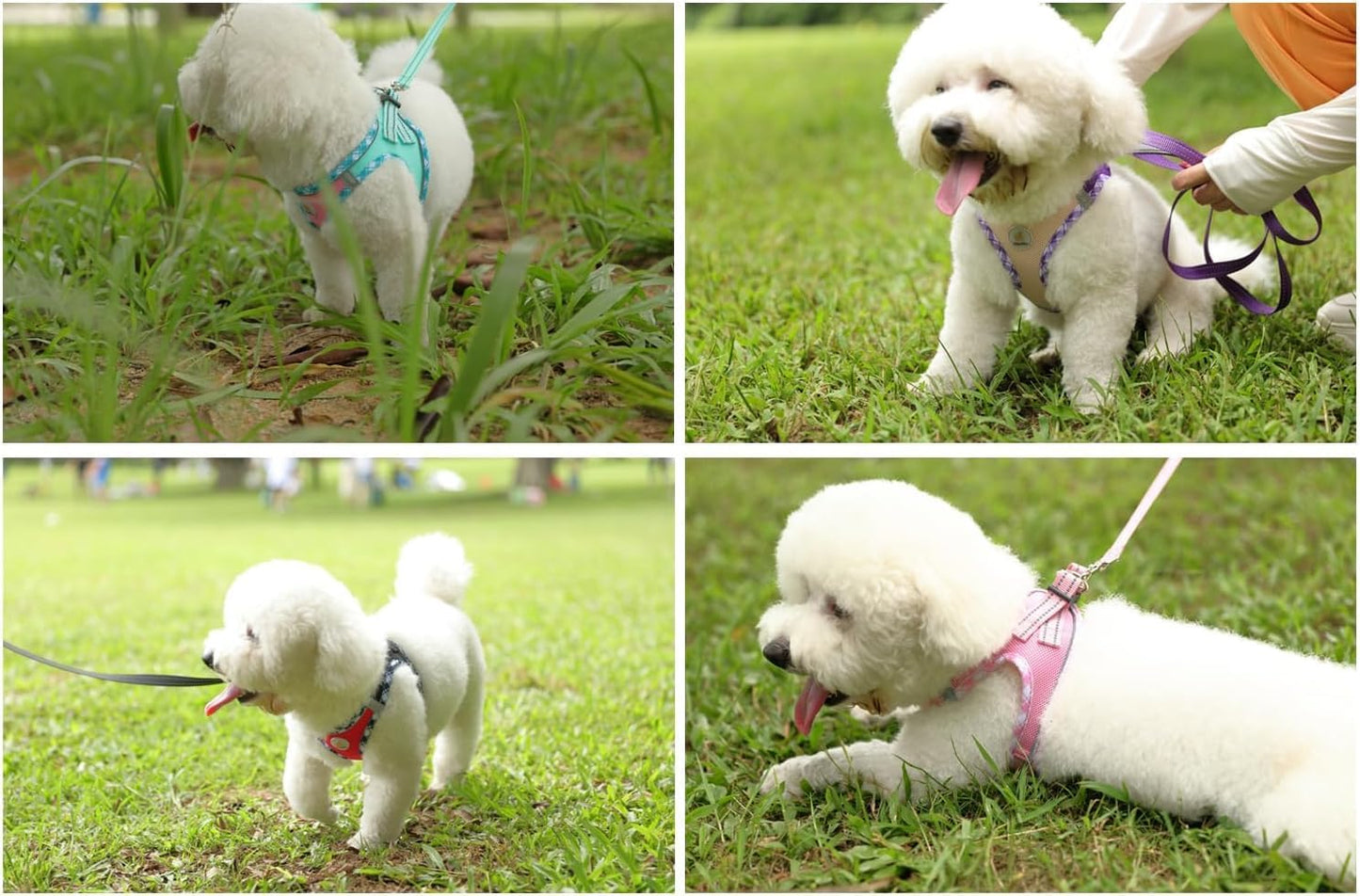 Hipubby Dog Harness Small Sized and Leash Set, No Pull Soft Mesh Puppy Vest, Reflective Breathable Lightweight Pet Harness, Harness for Small Medium Dogs and Cats, Pink XS