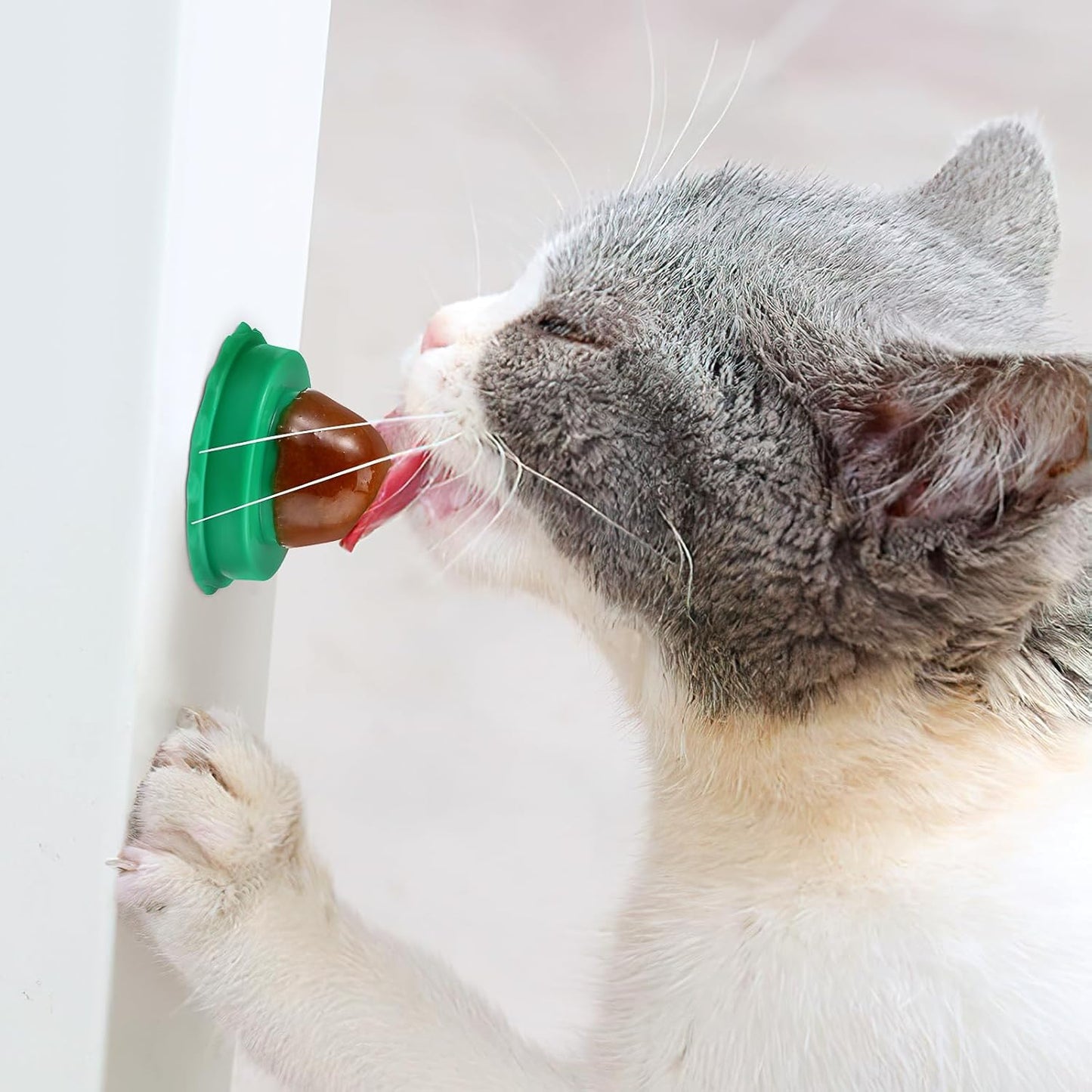 DOITOOL 9 Pcs Cat Catnip Balls Cat Nip Balls Wall, Kitty Teeth Cleaning Lickable Treats Stick to Wall, Pet Kitten Licking Candy Chew Toys