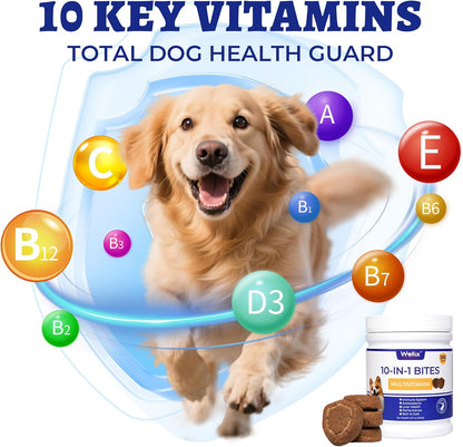 260 Bites Wellix 10-in-1 Dog Vitamins - Multivitamin for Dogs Immune Supports,Boost Hip&Joint,Skin&Coat,Liver&Gut Health -Dog Antioxidant Supplements