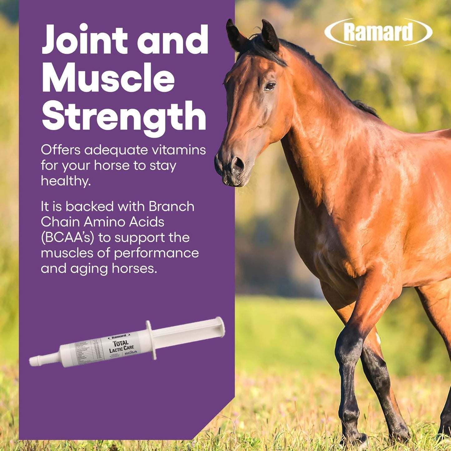 Ramard Total Lactic Care for Aging Horses, Supports Muscle Function, Energy & Stamina Horse Supplies, Vitamin & Supplements w/Branch Chain Amino Acids, 30cc Oral Syringe, 1pk