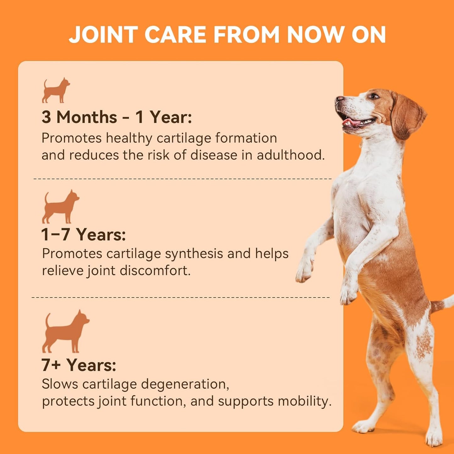 30 Soft Chews Dog Joint Supplement & 200 Tablets Multivitamin for Skin and Coat for Dogs and Pets