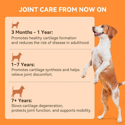 30 Soft Chews Dog Joint Supplement & 200 Tablets Multivitamin for Skin and Coat for Dogs and Pets