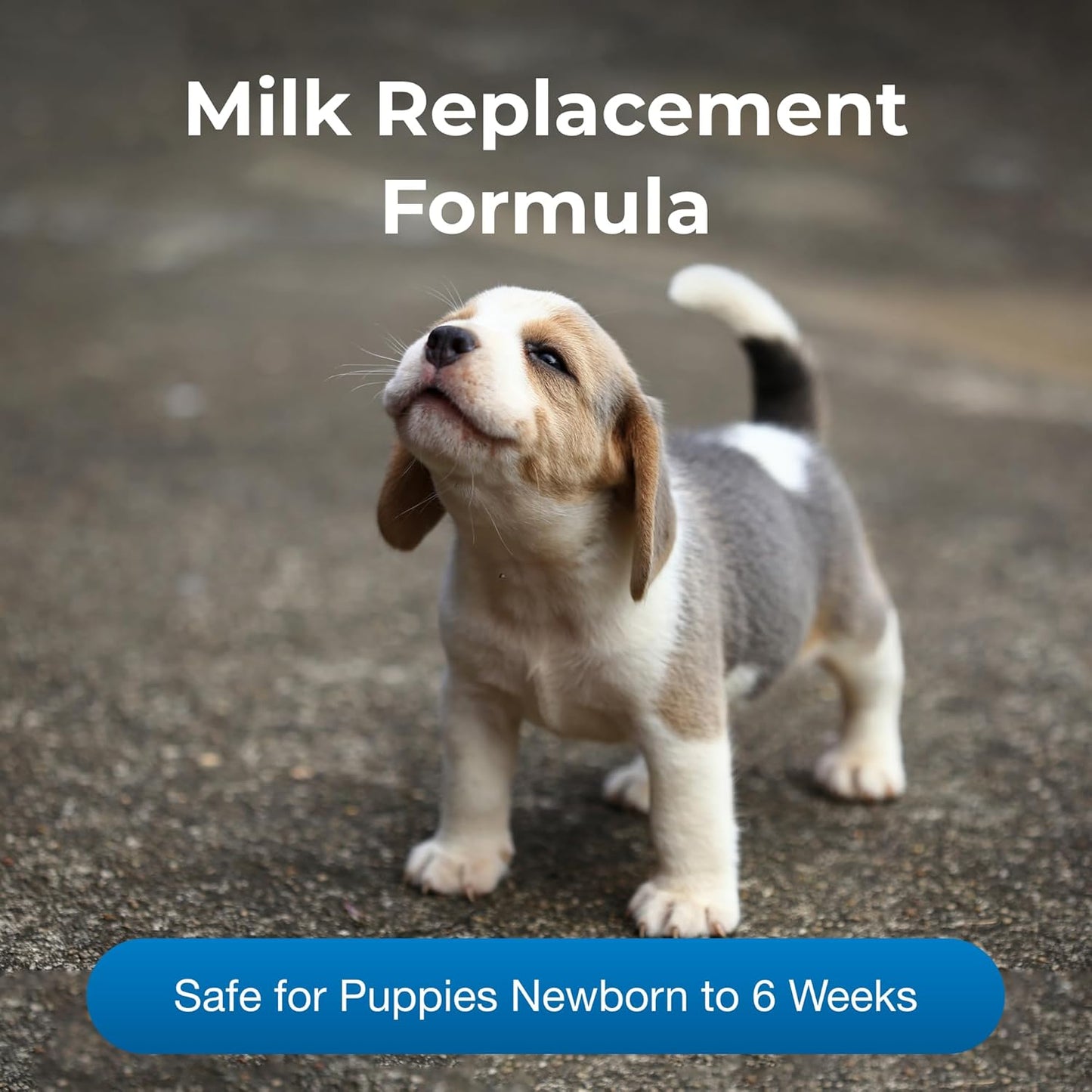 Pet-Ag PetLac Liquid for Puppies - 32 oz - Ready-to-Feed Milk Replacement for Puppies Newborn to Six Weeks Old - Easy to Digest