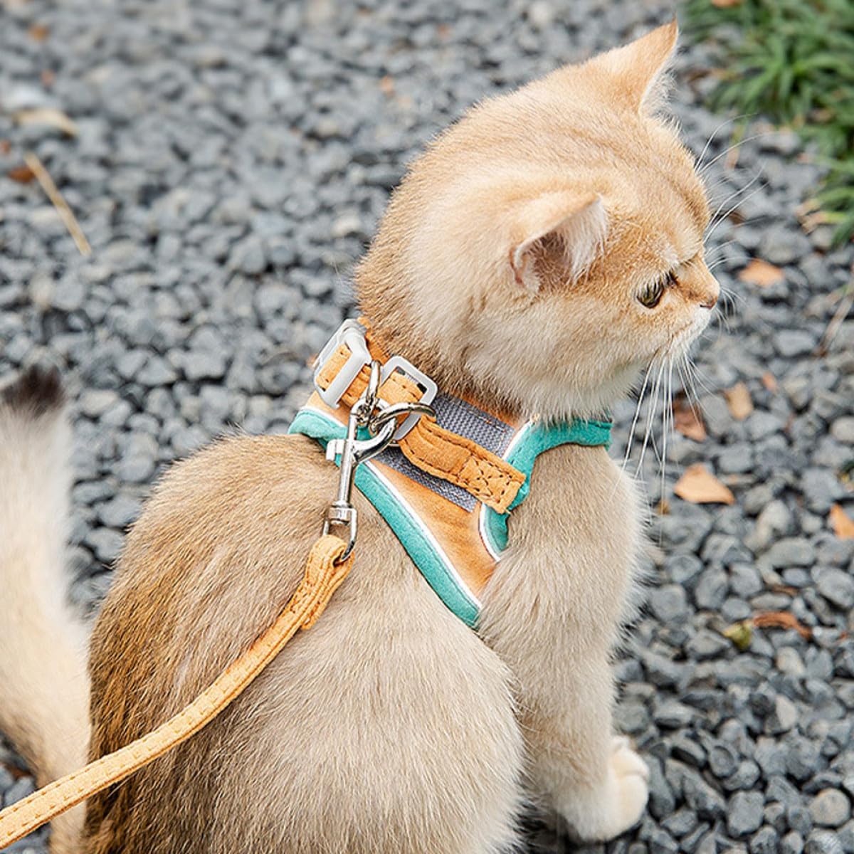 Cat Harness Leash Set Adjustable Reflective Vest Soft Breathable Pet Cat Pulling Strap for Outdoor Walking and Travel, Medium Orange-Green