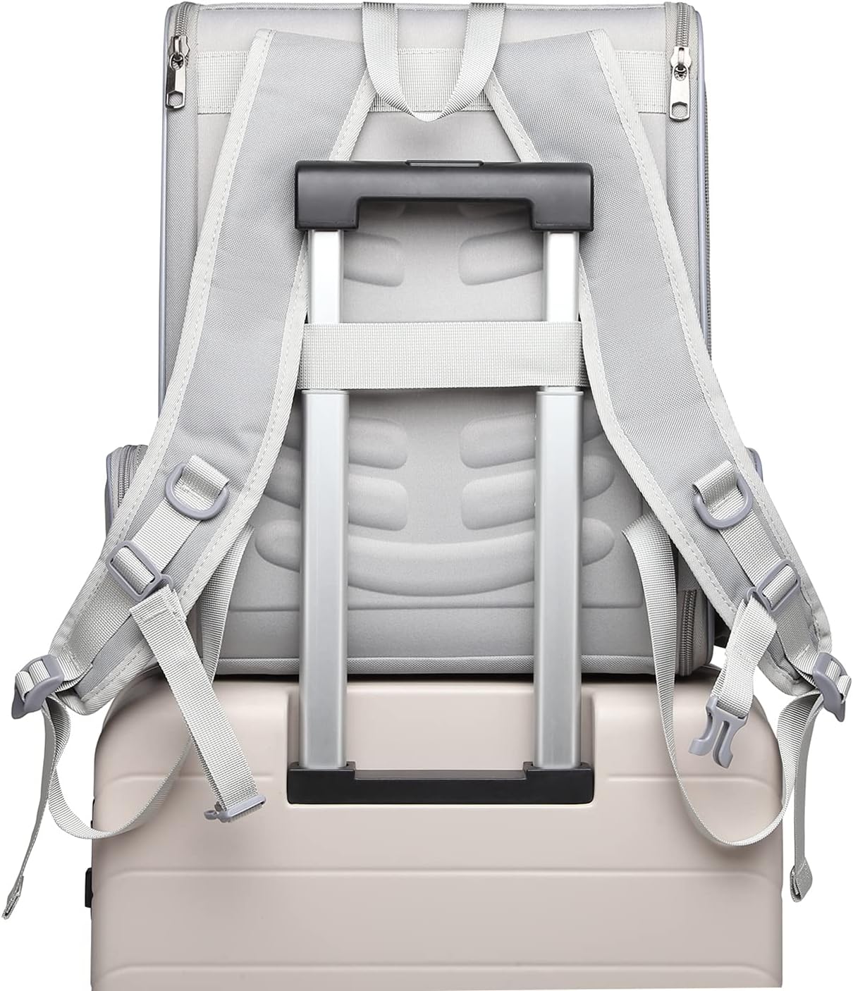 Texsens Pet Backpack(Grey) & Ear Care Wipes Combo‌