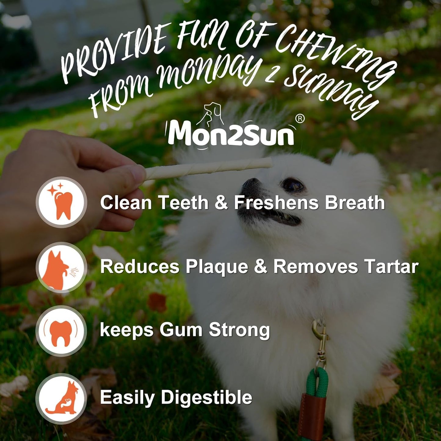 MON2SUN Dog Rawhide Twist Sticks Natural 5 Inch Thin Sticks Rawhide Chews Treats for Puppy and Small Dogs 120 Count