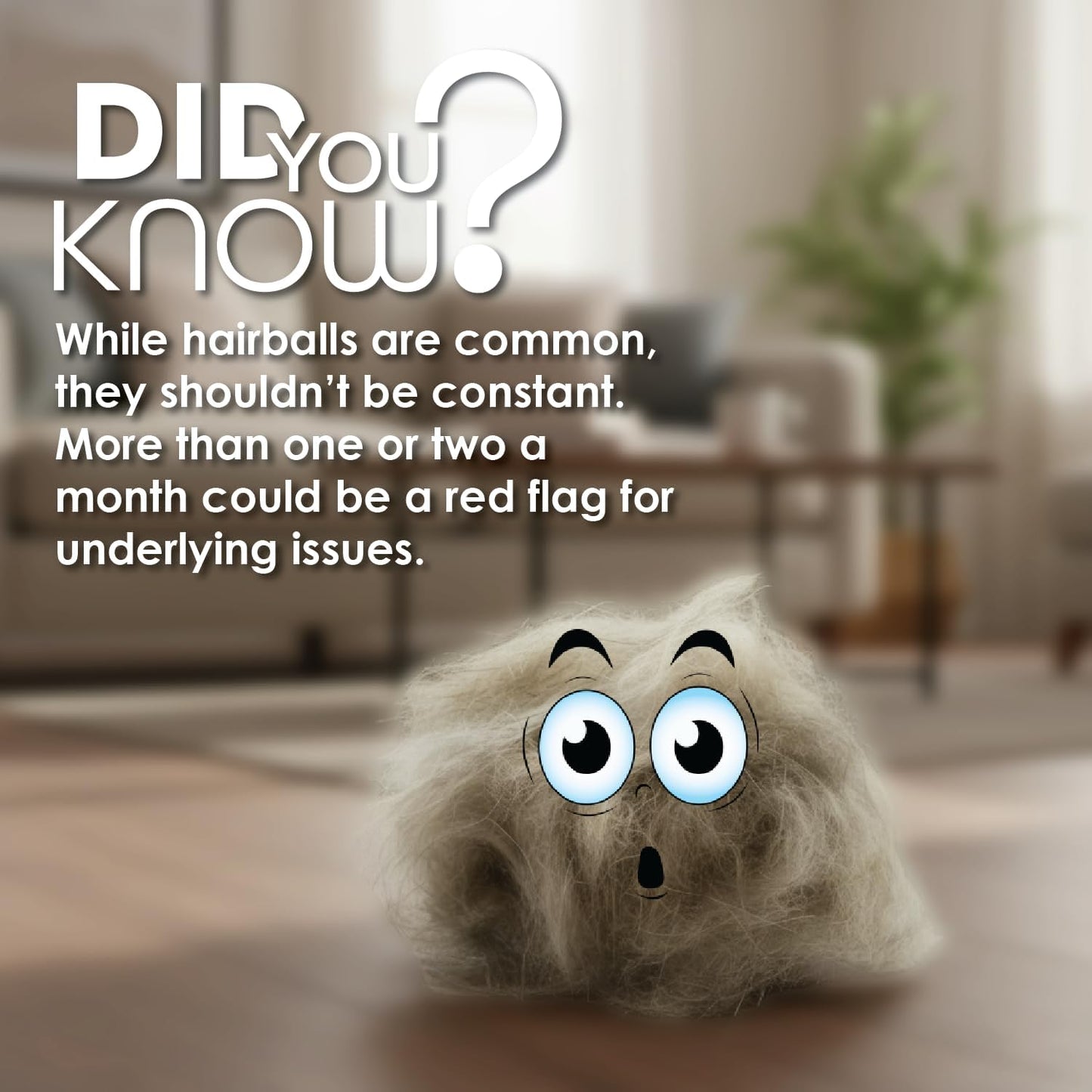 Hairball Gel for Cats 5 oz Petroleum Free Cat Hairball Paste for Furball Control, Constipation Relief and Digestive Support, Easy Lick Salmon Flavor Hairball Treatment for Daily Use, Made in USA