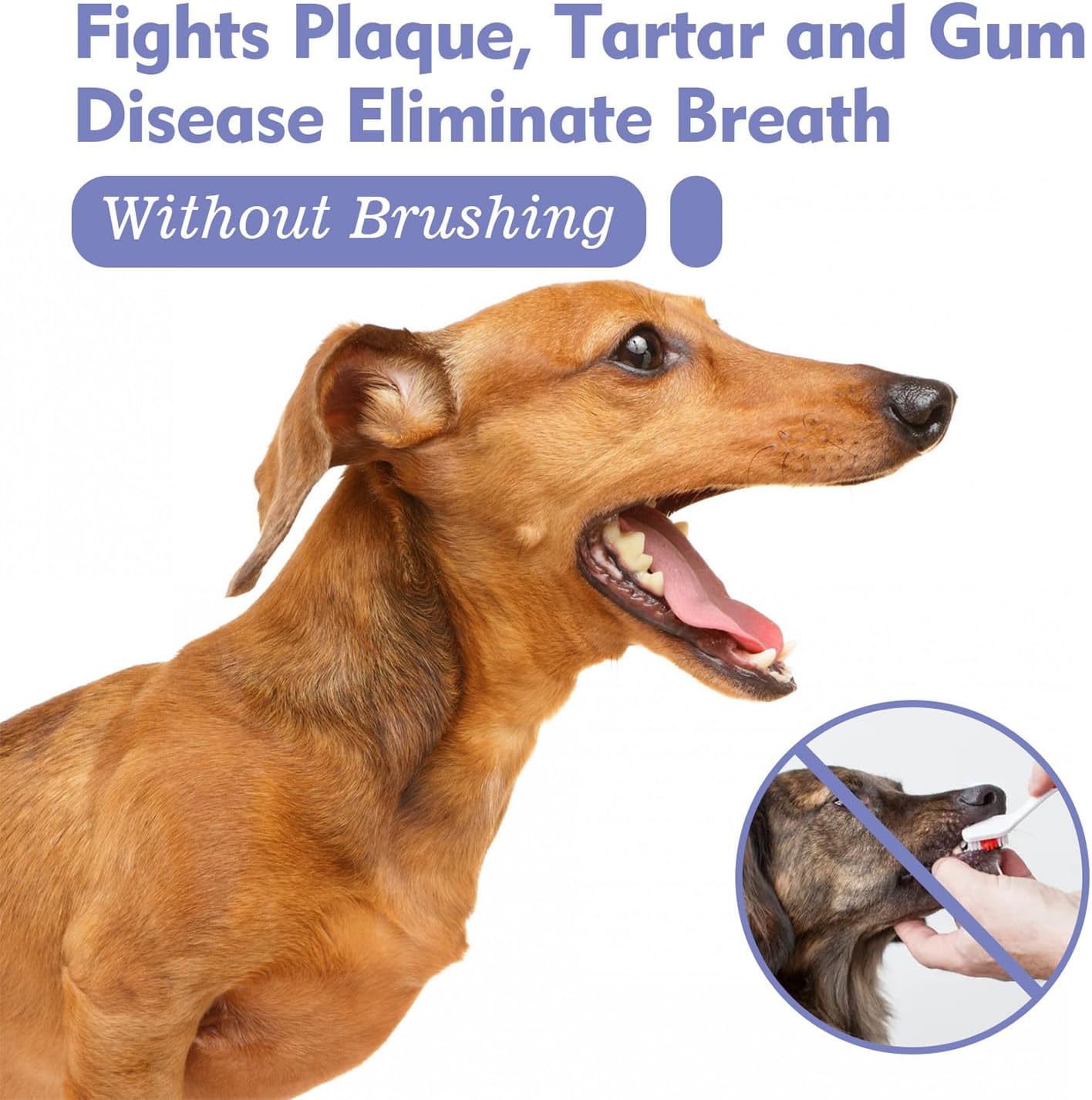 JoanofArc Oral Care Spray for Dogs, Pet Breath Dental Care Spray with Natural Ingredients, Dog Breath Freshener for Bad Breath, Plaque and Tartar, Pet Health Supplies Teeth Treatment Spray, 30ml