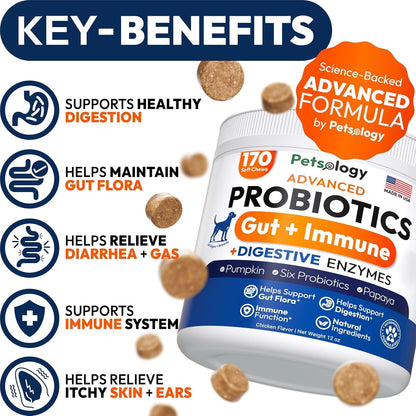 (2 Pack) Probiotics for Dogs - 340 Dog Probiotics Chews - Digestive Enzymes & Prebiotics - Support Gut Health, Diarrhea, Gas & Constipation Relief - Itchy Skin, Allergies - Advanced Supplement