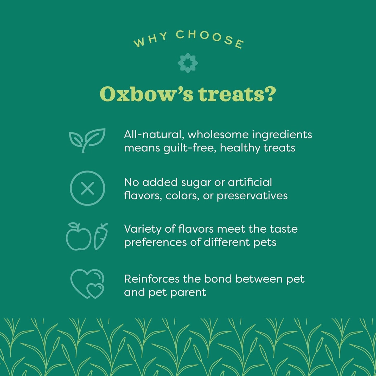 Oxbow Simple Rewards Small Pet Treats, Freeze Dried Fruit, Guinea Pig & Bunny Treats, Healthy Pet Fruit Snack for Rabbit & Guinea Pig, Freeze Dried Strawberries, 0.5 oz Bag