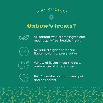 Oxbow Simple Rewards Small Pet Treats, Freeze Dried Fruit, Guinea Pig & Bunny Treats, Healthy Pet Fruit Snack for Rabbit & Guinea Pig, Freeze Dried Strawberries, 0.5 oz Bag