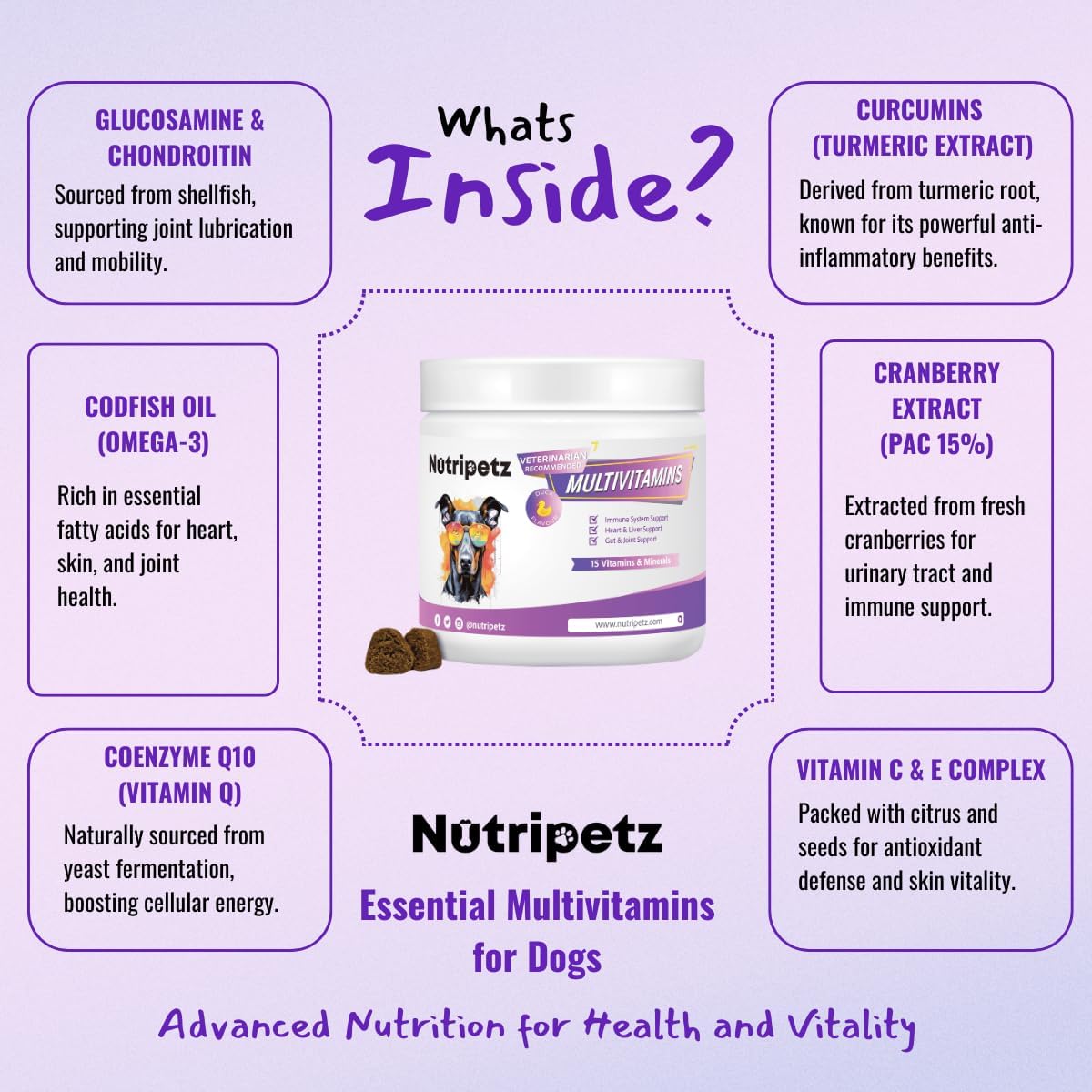 Dog Vitamins & Supplements – Dog Multivitamins Chewable – Supports Brain, Immune, Digestive Health & Skin Coat – Pet Vitamins and Supplements 120 Chews