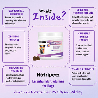 Dog Vitamins & Supplements – Dog Multivitamins Chewable – Supports Brain, Immune, Digestive Health & Skin Coat – Pet Vitamins and Supplements 120 Chews