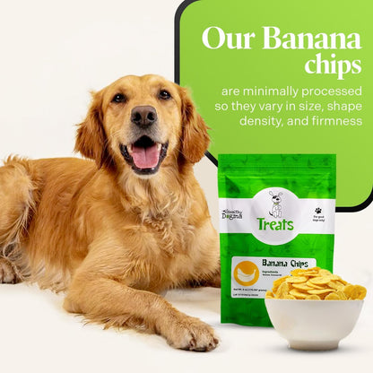 Healthy Dogma Banana Chips Treat for Dogs - All-Natural, & Clean Ingredient Snacks - Supports Digestion, Energy & Immune Health - Perfect for Training & Sensitive Stomachs, (6oz-Pack of 4)