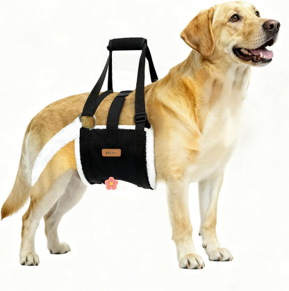 Dog Lift Harness Sling for Large Dogs & Dog Purse Carrier for Small Dogs Cats Rabbits Up to 13lbs