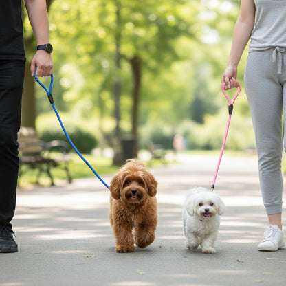 11-Piece Adjustable Dog Slip Leads 11 Colors, Nylon Easy On/Off, No Collar Needed, Super-Strong, Standalone Use. No-Pull Dog Slip Leads (for Small Dogs) High Value for Walking/Training