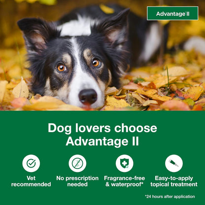 Bundle of Advantage II Large Dog| Dogs 21-55 lbs. | 4-Month Supply + Pet Protect Dog Digestive Health Supplement | 60 Chews