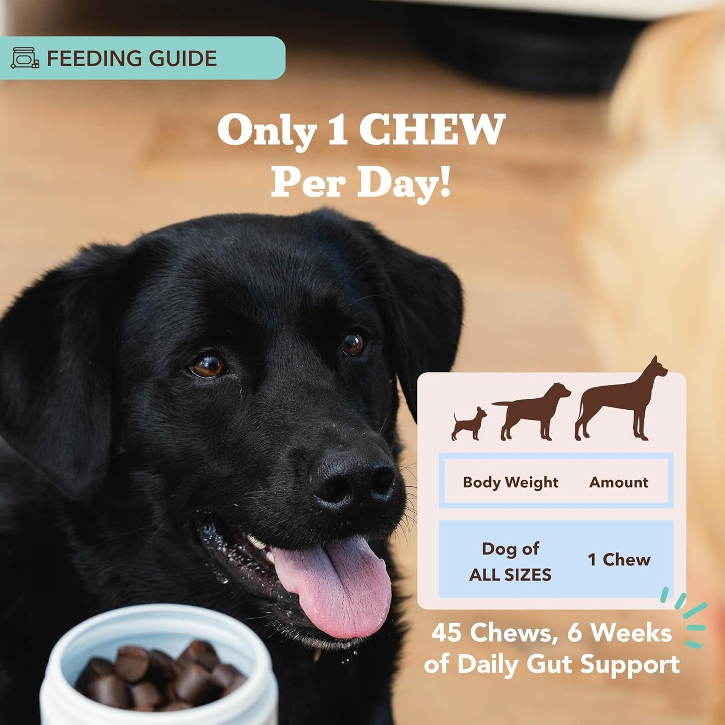 Natural Dog Company Gut Health & Canine Specific Probiotics Chews, 1 Daily Chew for All Dogs, Prebiotics & Digestive Enzymes for Digestion, Gas, Loose Stool, Immune System & Bowel Support