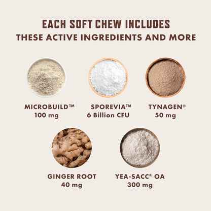 Rocco & Roxie Probiotics for Dogs, Support Gut and Digestive Health, Anti Diarrhea, Constipation & Gas Relief, Allergies, & Itchy Skin, Prebiotics, Enzymes, Puppy to Senior Dog Supplements Chews 60ct