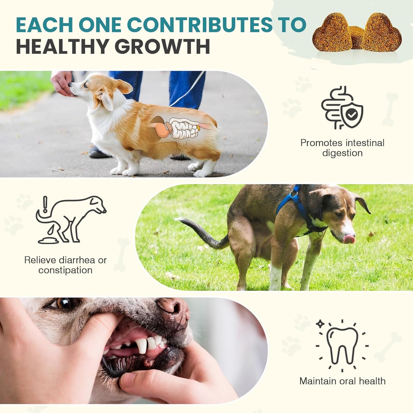 Probiotics for Dogs Gut Digestive Health Probiotic Chew for Dogs Digestive Enzymes Relieve Diarrhea Immunity Oral Problems Itching Constipation Prebiotics Dog Probiotics 200 Tablets Chicken Flavor