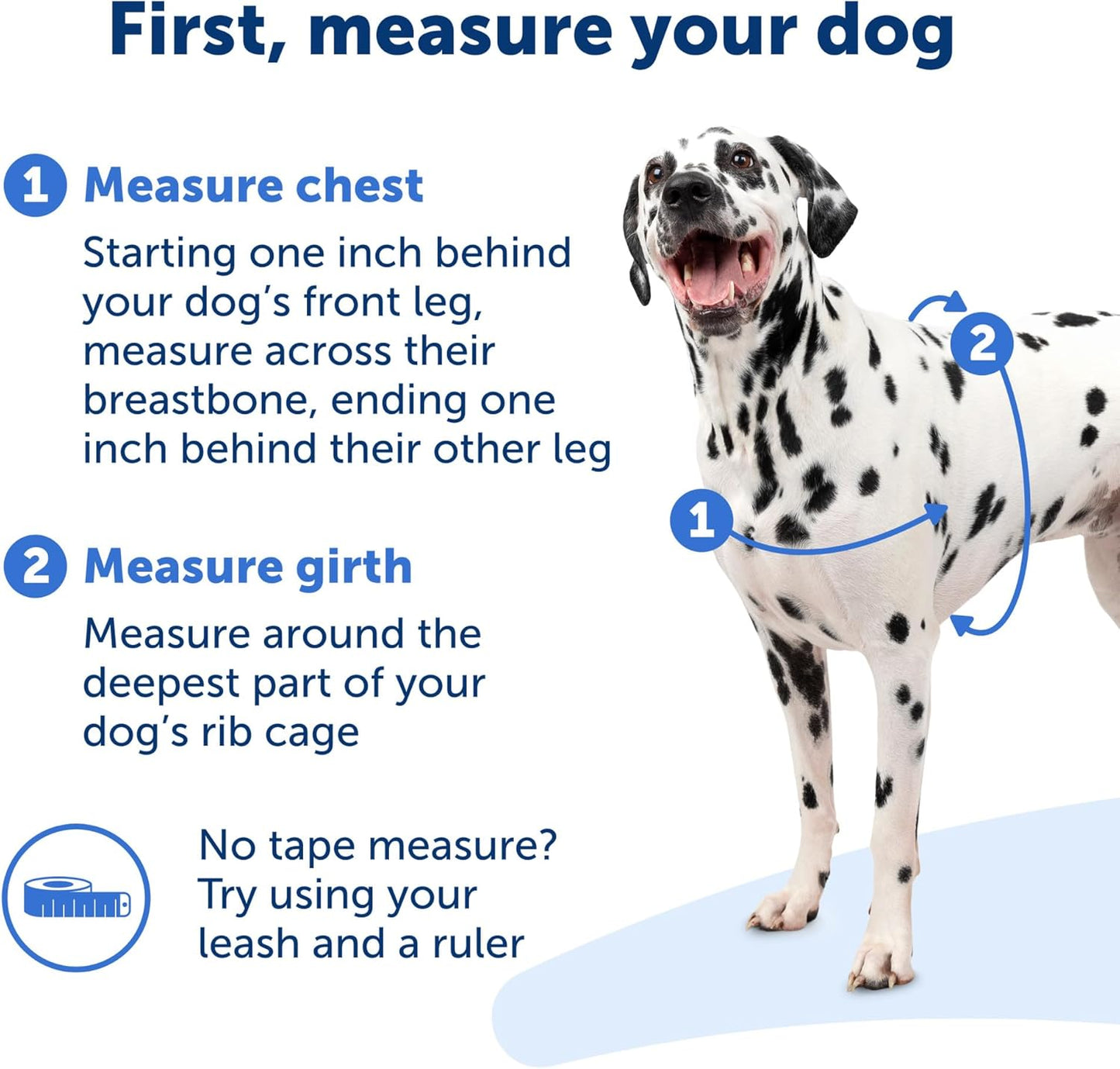 PetSafe Easy Walk Harness for Dogs - Pull-Free Walks - Patented Martingale Loop Design - Front Chest Leash Attachment - Comfort Straps - Breathable Harness Design - Small, Teal/Gray