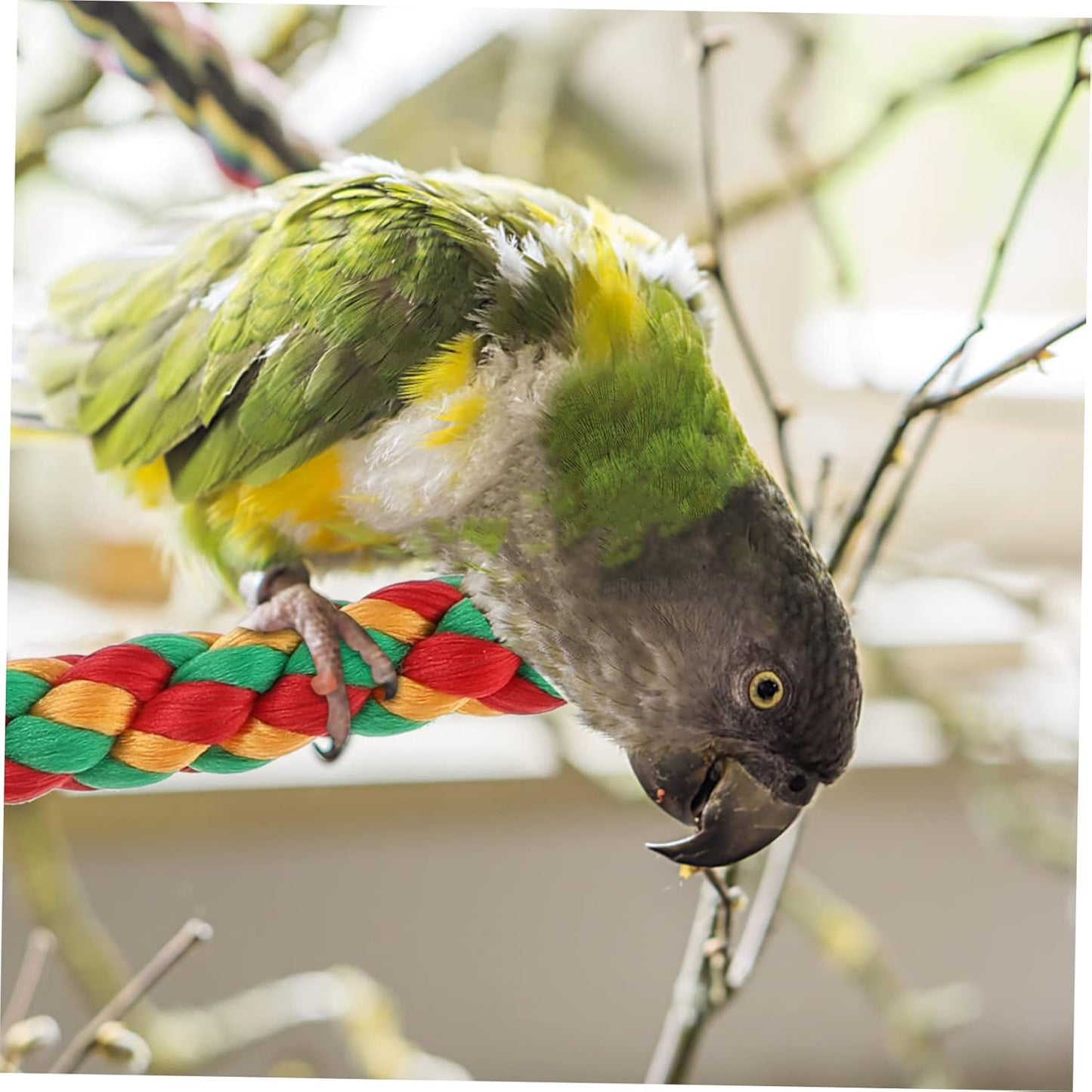 Happyyami 2pcs Rope Perch Set for Parrots Budgies and Macaws Multi-Purpose Chewing Toy Natural Material Lengths