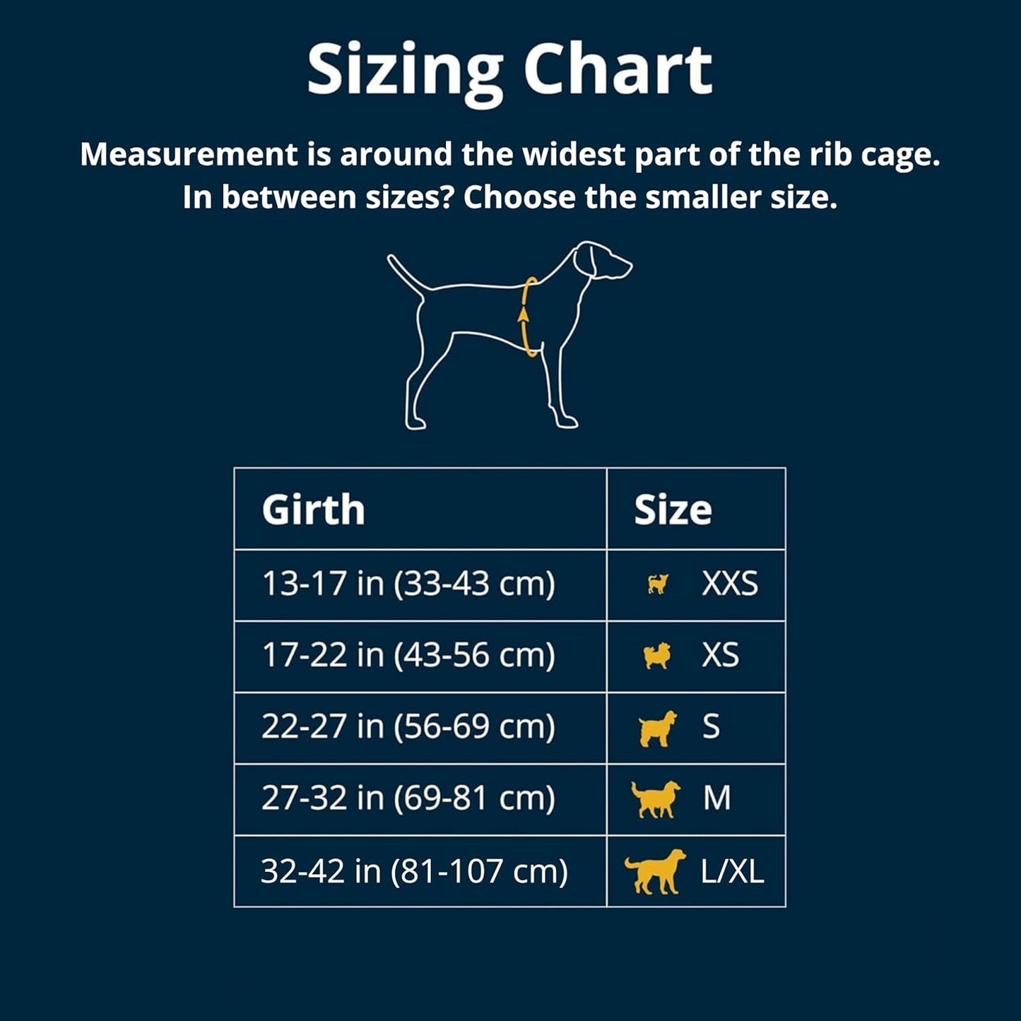 Ruffwear, Web Master, Multi-Use Support Dog Harness, Hiking and Trail Running, Service and Working, Everyday Wear, Blaze Orange, Medium