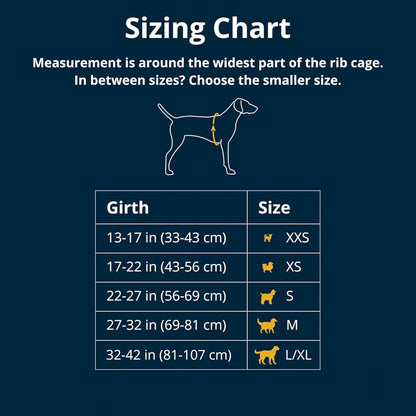 Ruffwear, Web Master, Multi-Use Support Dog Harness, Hiking and Trail Running, Service and Working, Everyday Wear, Blaze Orange, Medium