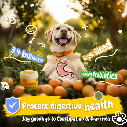 PENPEN Probiotics for Dogs, Dogs Probiotics for Digestive Health (Beef Chews, 50ct and 180ct)