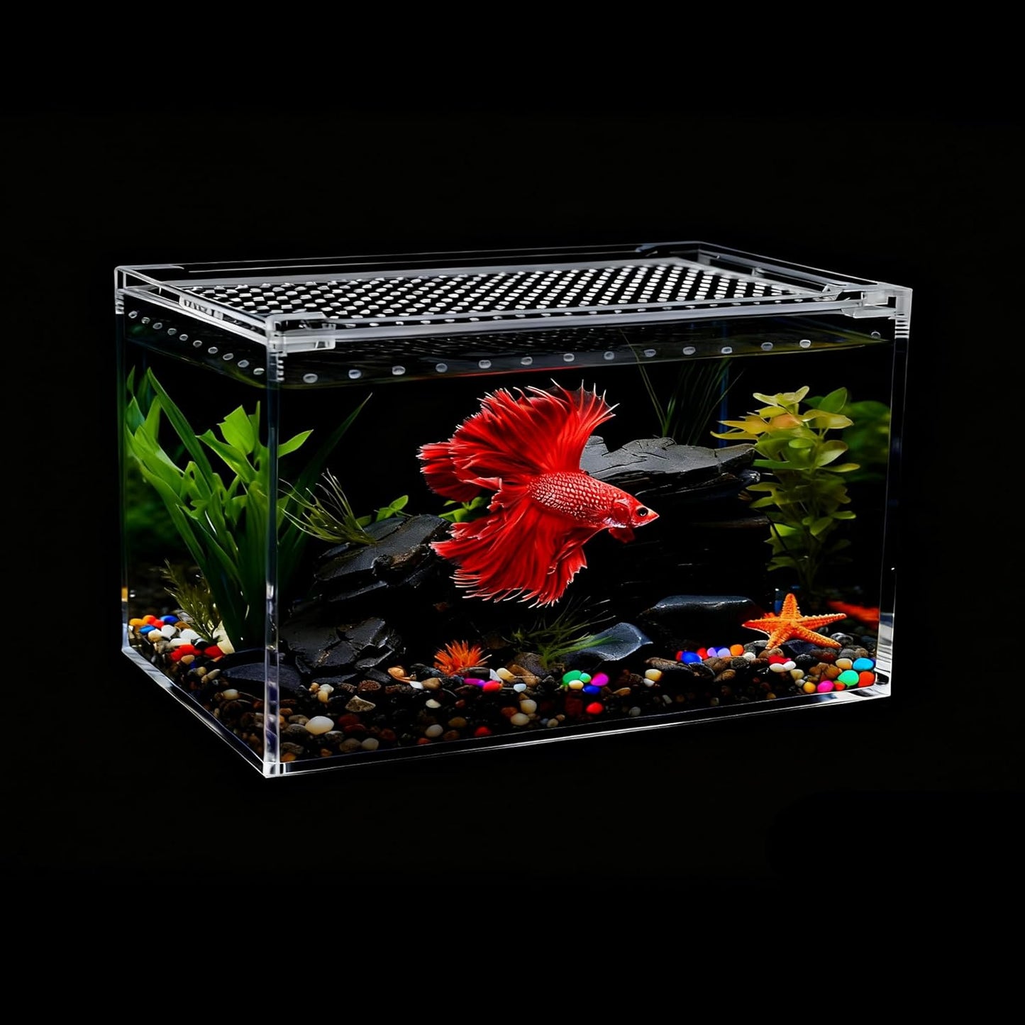 20x15x10cm Reptile Terrarium,Small Plastic Terrarium for Lizards Frogs Snakes,Transparent Spider Scorpion Insect Enclosure with Ventilation,for Pet Breeding Molting and Isolation Habitat