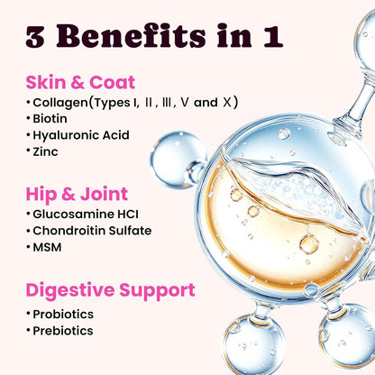 Premium Collagen for Dogs & Cats – 5 Types of Grass-Fed Collagen (I, II, III, V & X), Fast Allergy & Itch Relief Dog Colágeno with MSM, Biotin & Hyaluronic Acid – Supports Healthy Skin & Joints –120ml