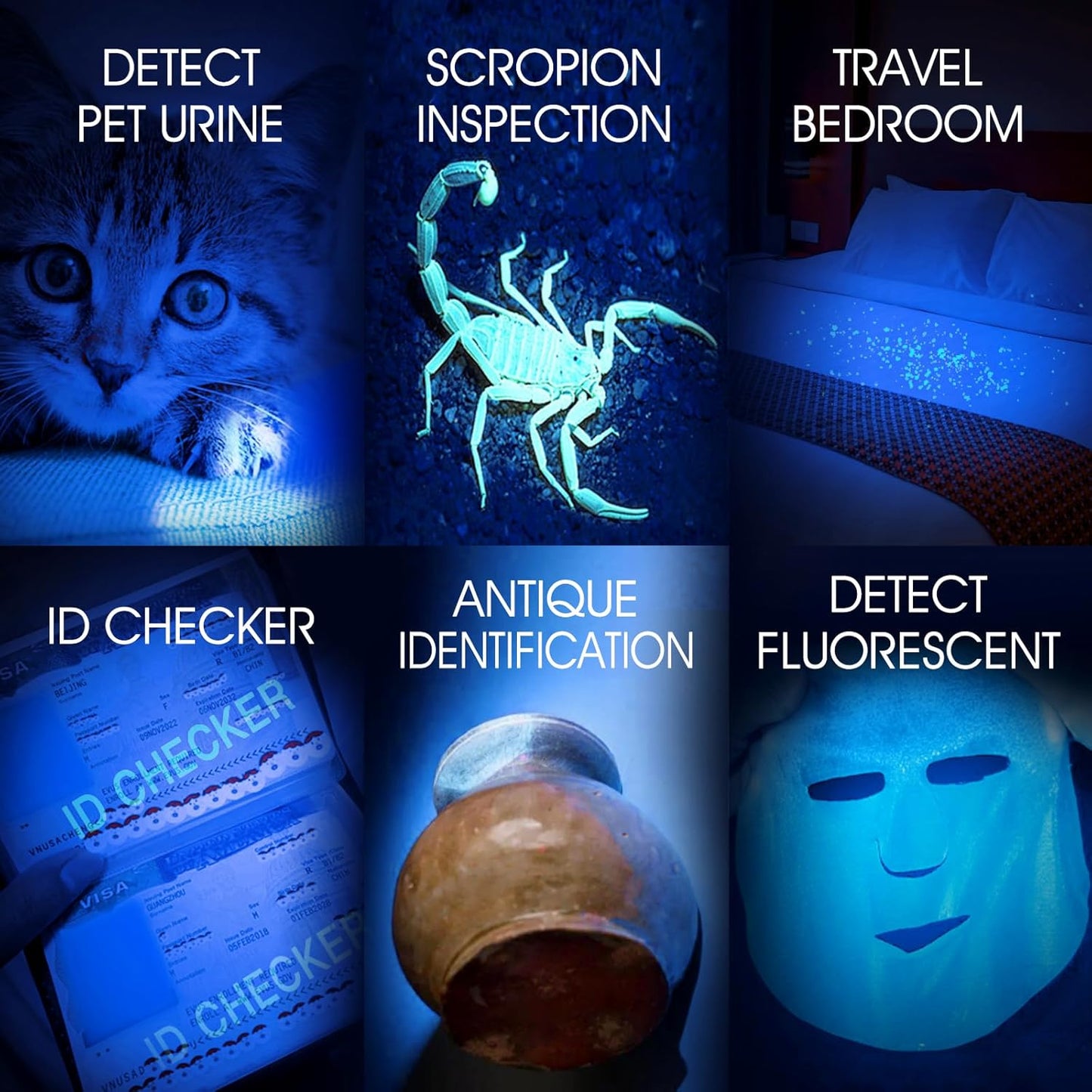 UV Flashlight USB Rechargeable, 365nm Black Light (2 PACK), Mini & Powerful Upgrade Ultraviolet Flashlight Portable Detector for Pet Urine, Cat Dog Stains, Scorpion, Bed Bug